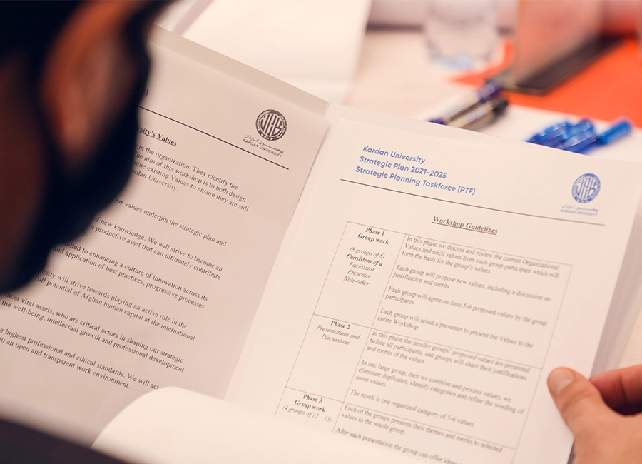 Strategic Plan Visual